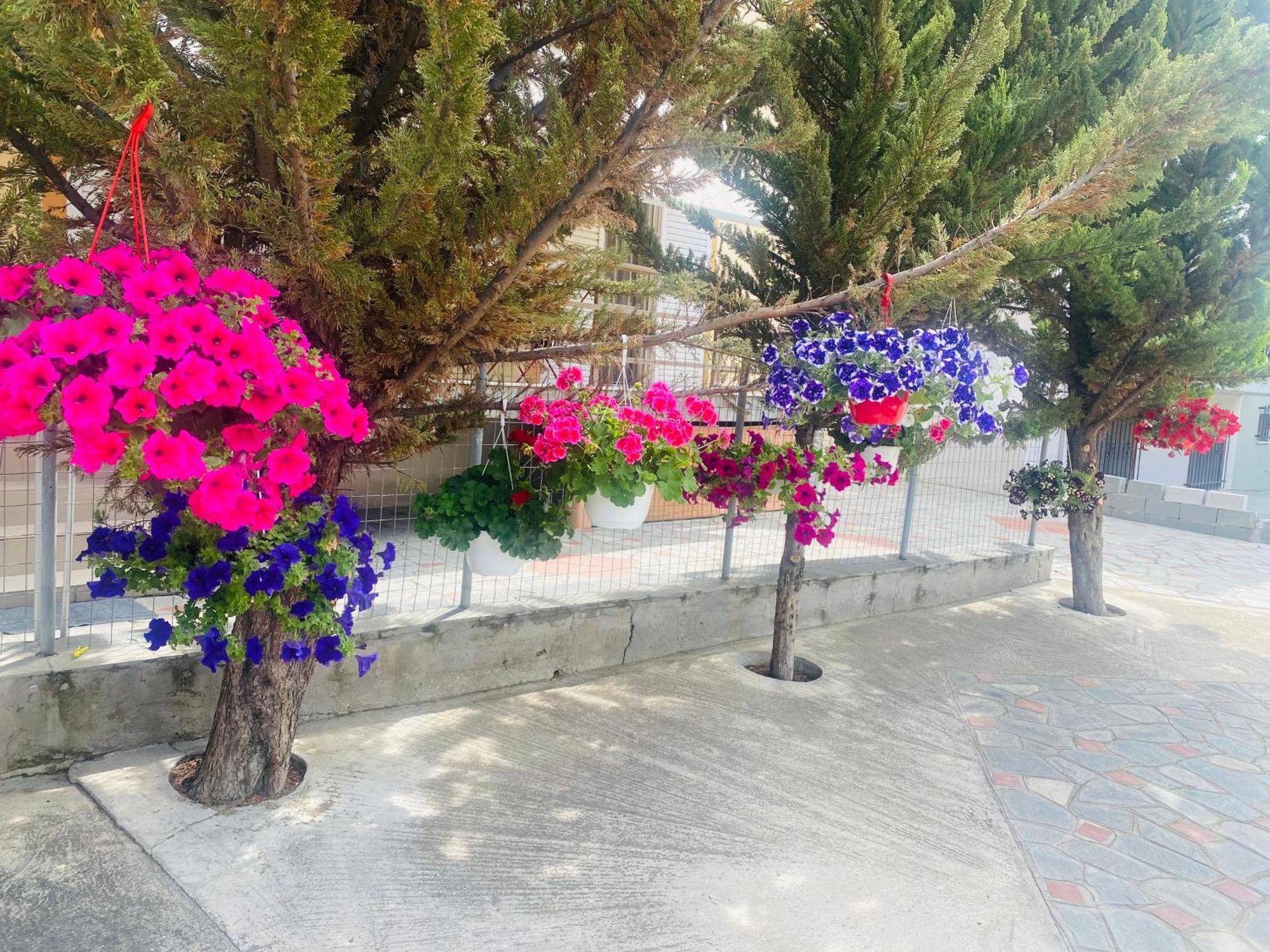 Markos Studios بوتوس المظهر الخارجي الصورة